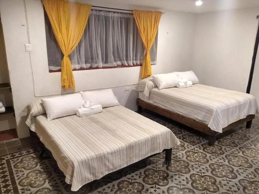 Casa Tortuga Bed & Breakfast Merida